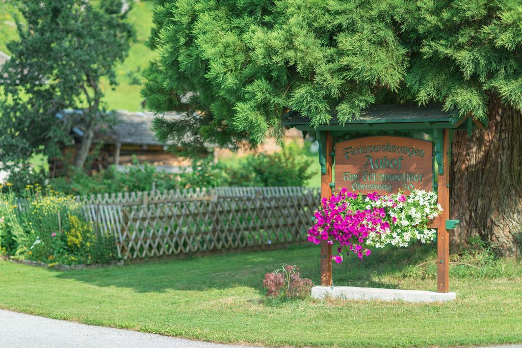 Apartamento Bauernhof Auhof Wagrain Exterior foto